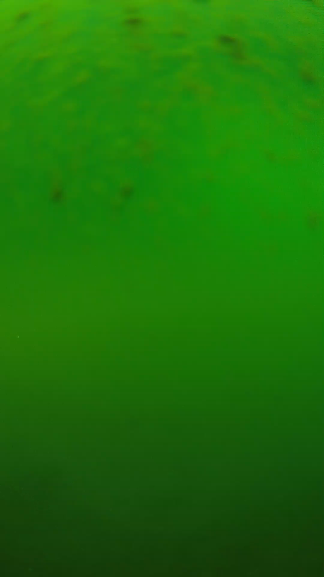 lander_ipcam_20240625120547.png
