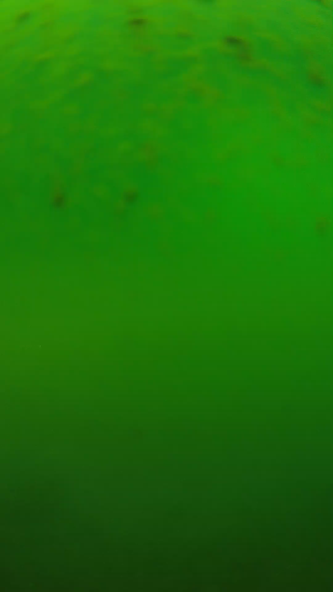 lander_ipcam_20240625120548.png