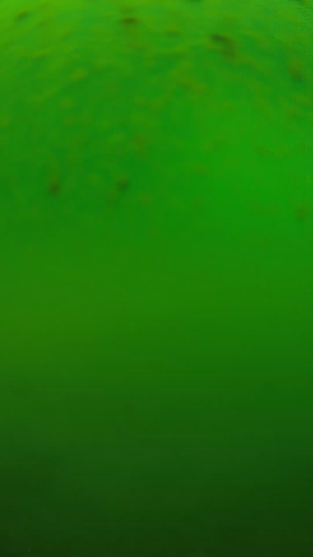 lander_ipcam_20240625120552.png