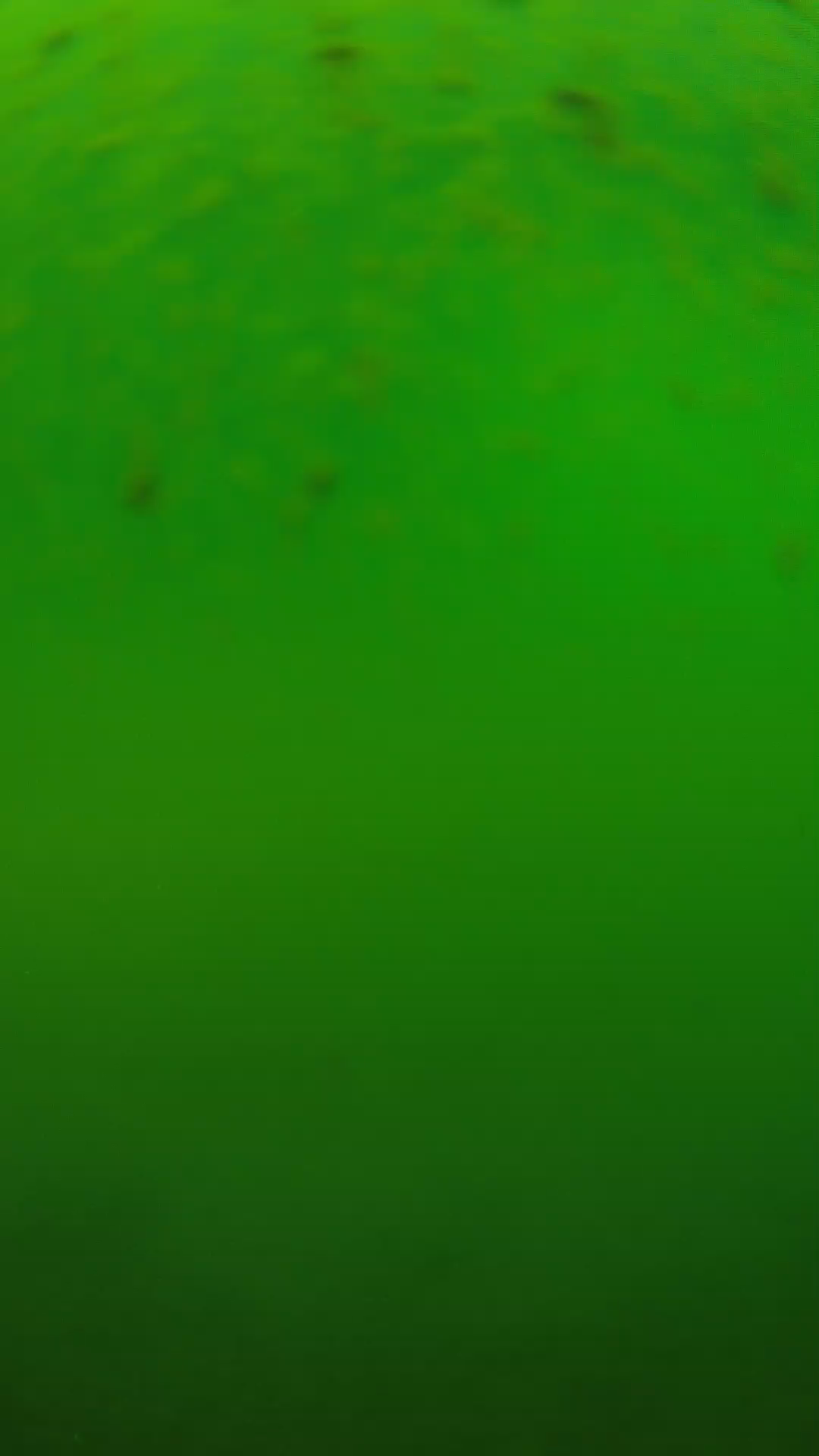lander_ipcam_20240625120557.png