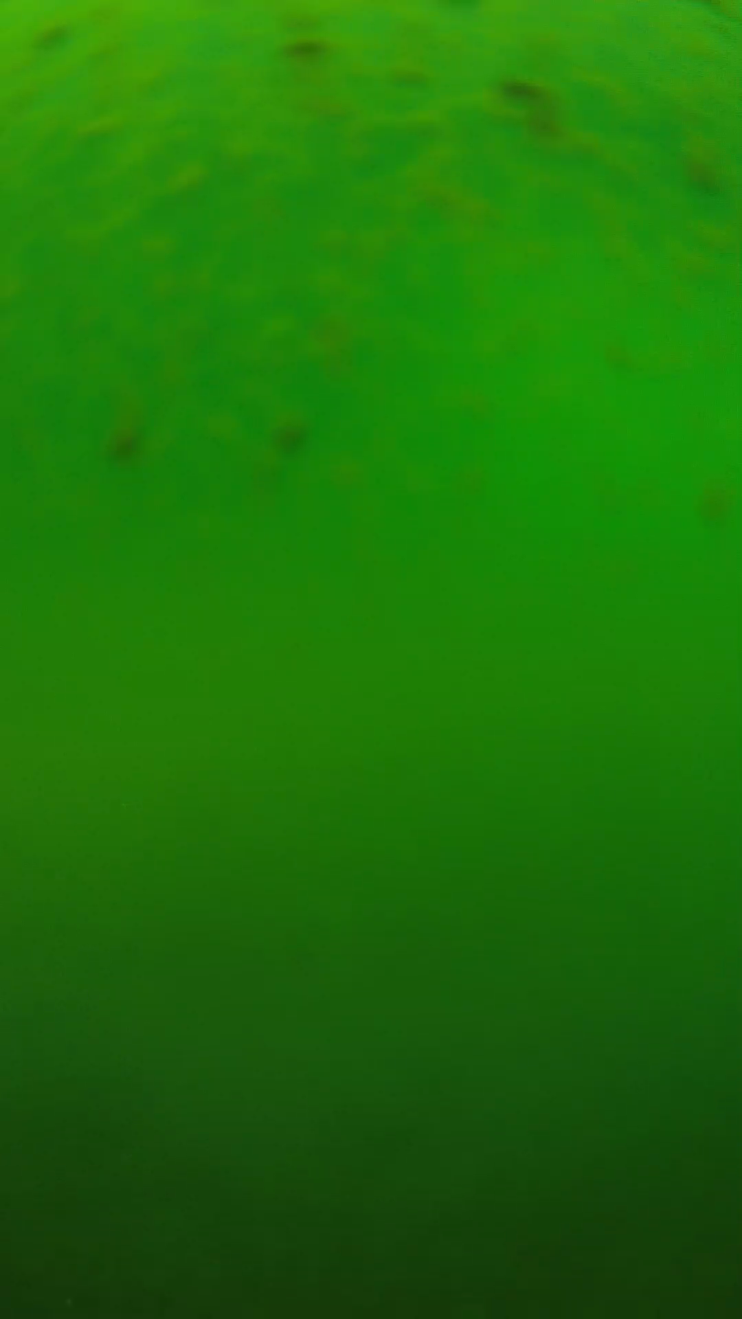 lander_ipcam_20240625120558.png