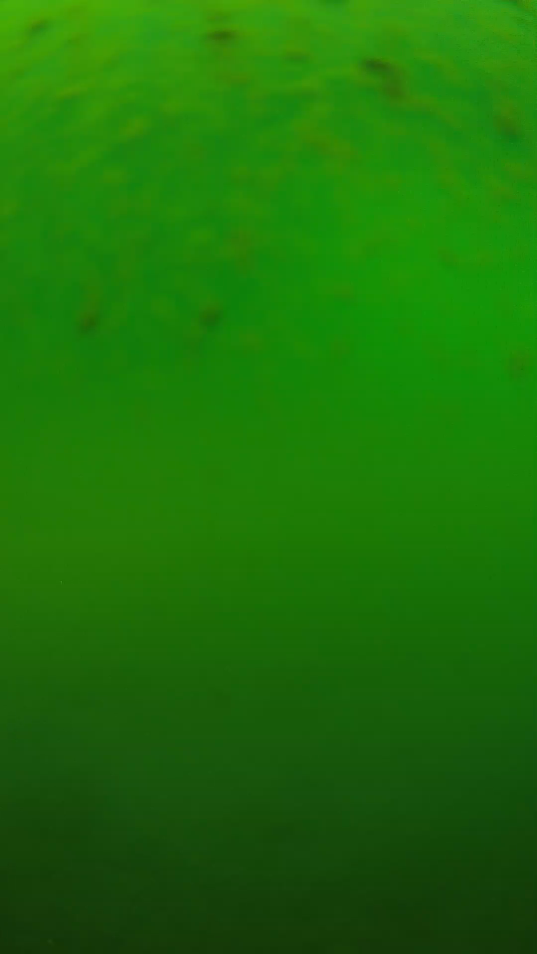 lander_ipcam_20240625120559.png