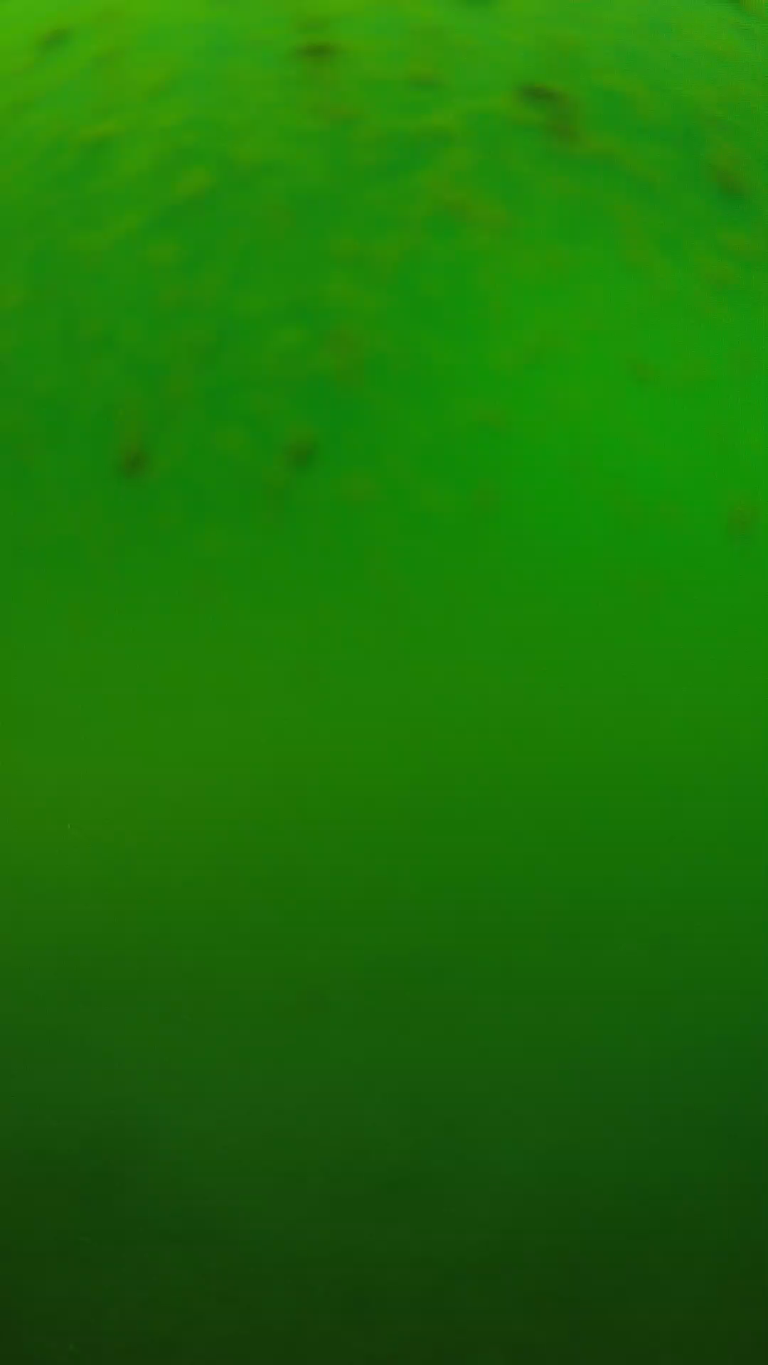 lander_ipcam_20240625120600.png