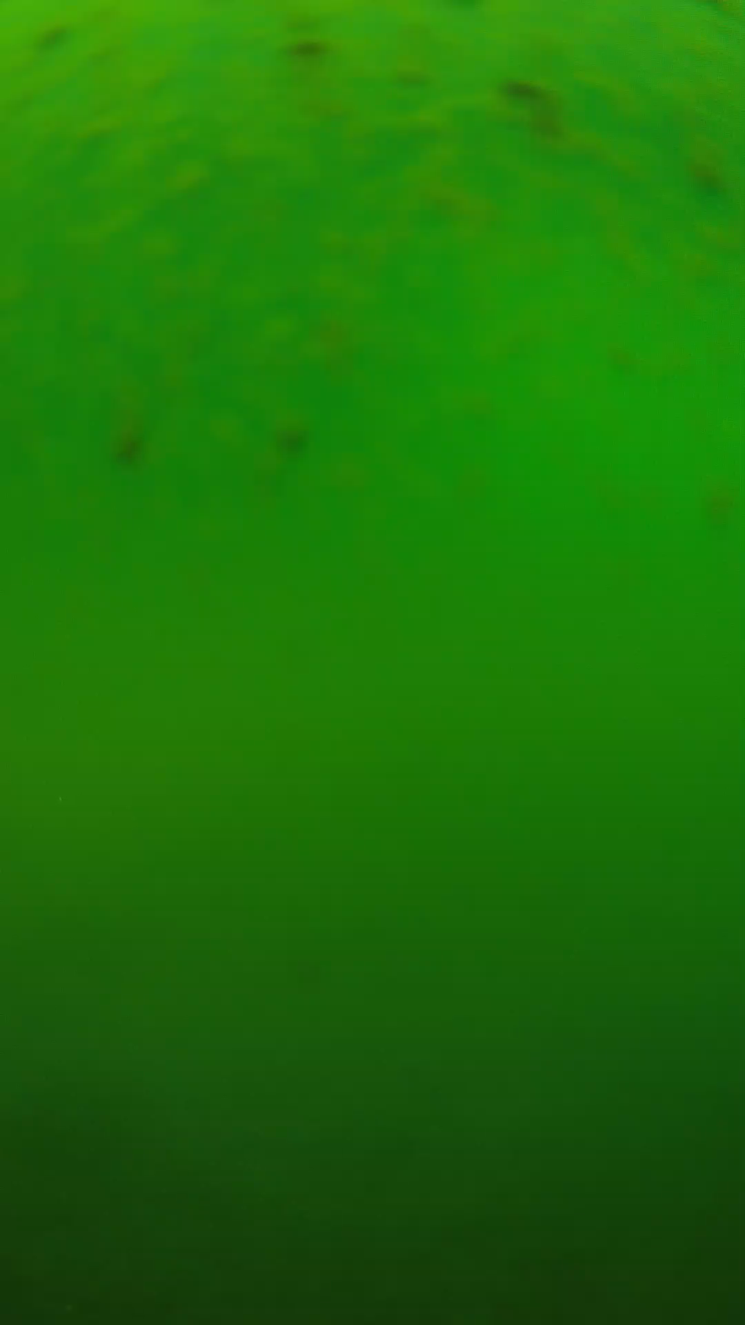 lander_ipcam_20240625120601.png