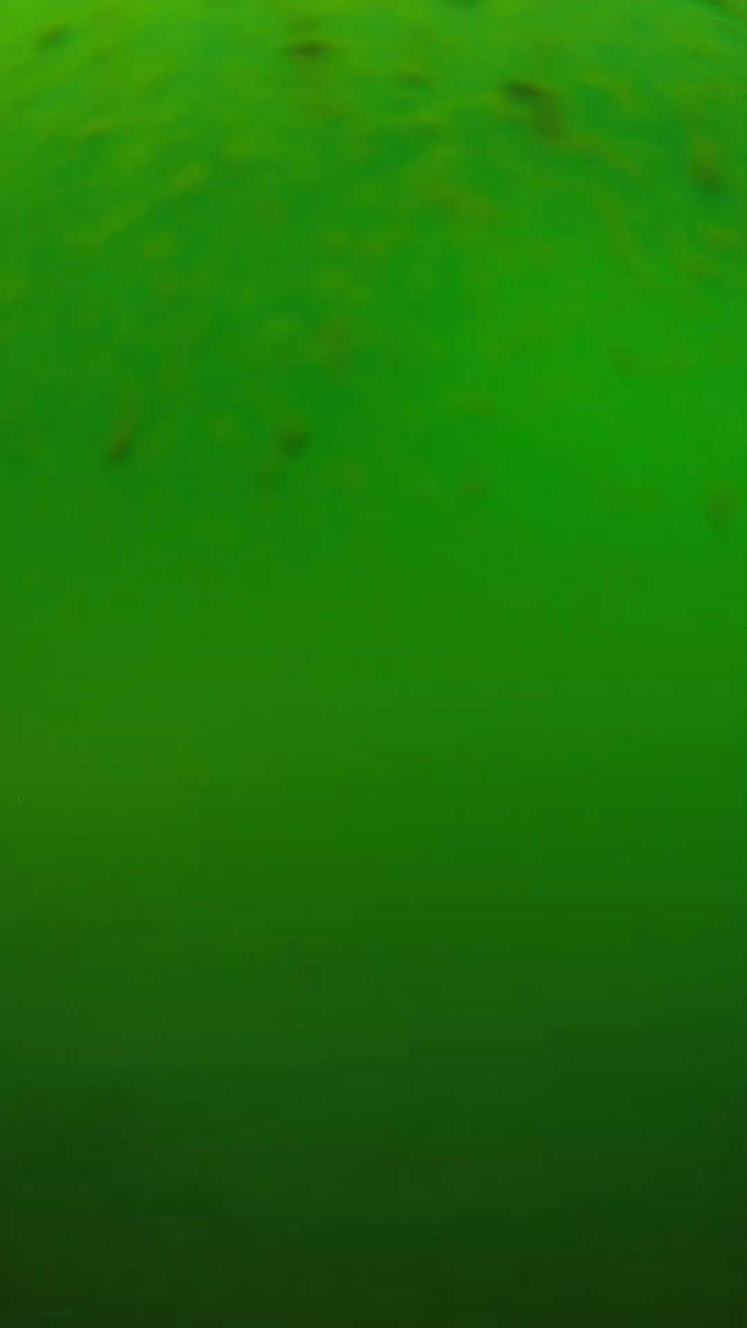 lander_ipcam_20240625120602.png