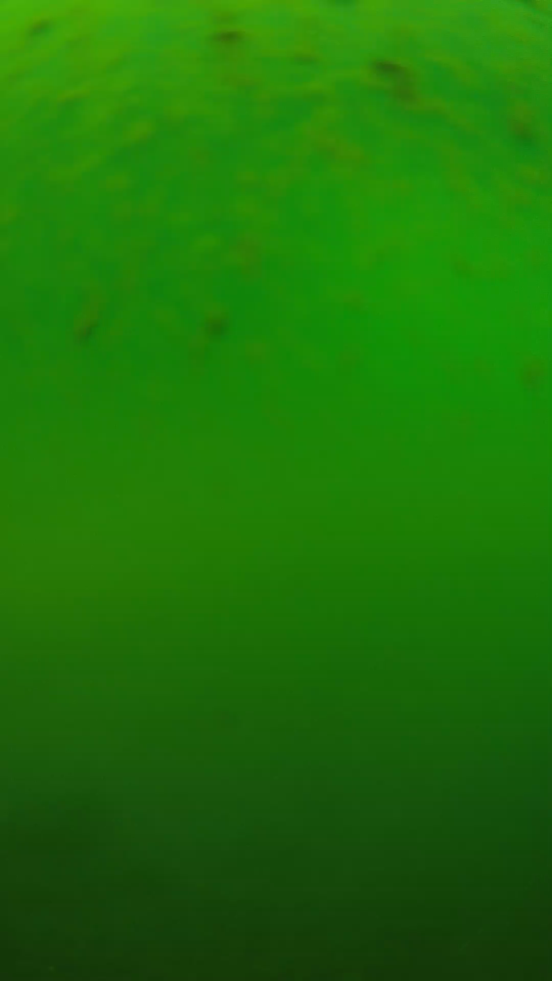 lander_ipcam_20240625120604.png