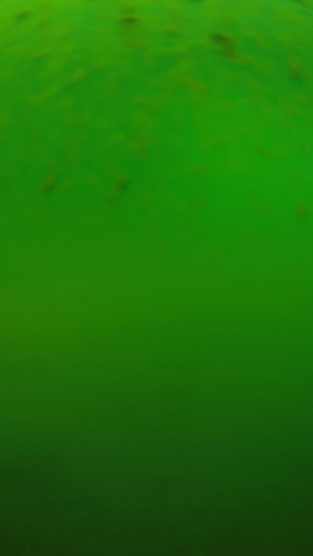 lander_ipcam_20240625120605.png