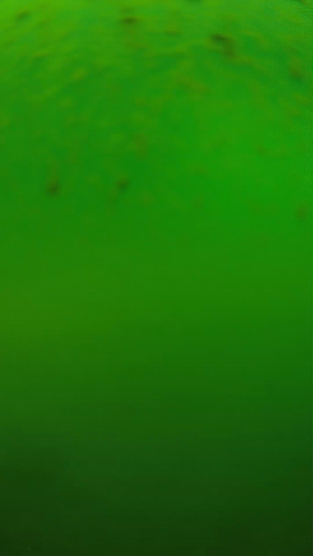 lander_ipcam_20240625120606.png
