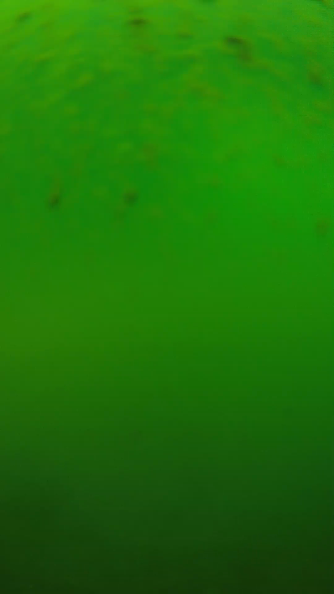 lander_ipcam_20240625120607.png