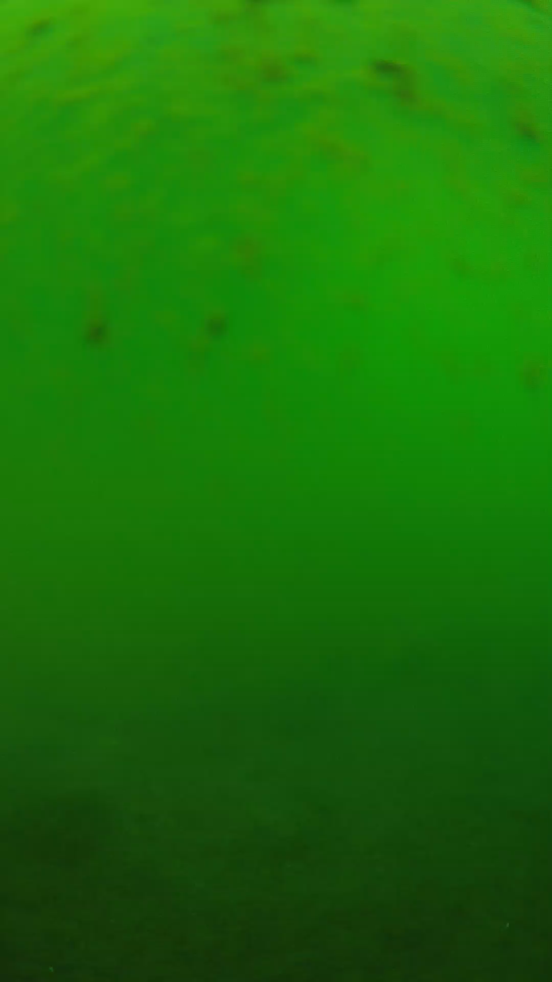 lander_ipcam_20240625123538.png