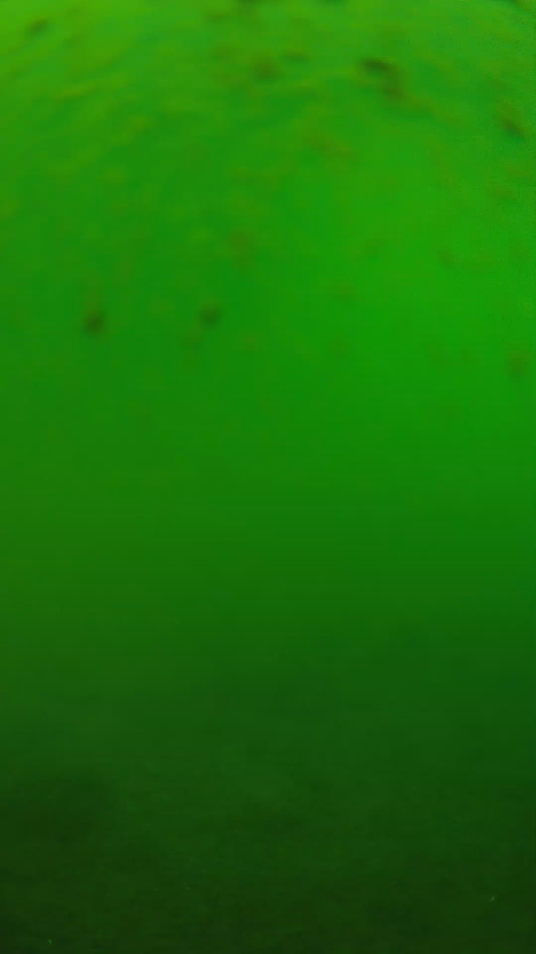 lander_ipcam_20240625123540.png