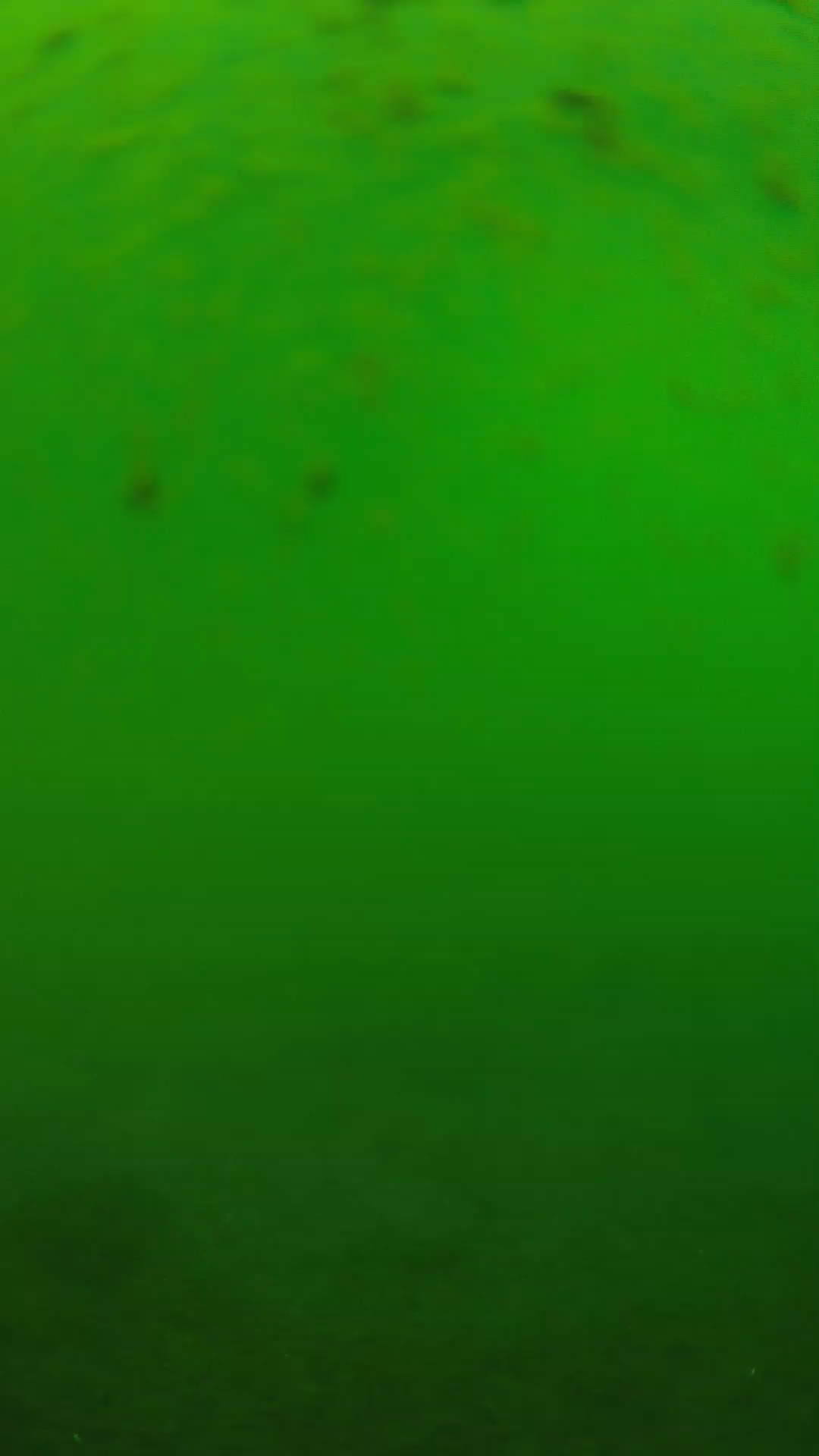 lander_ipcam_20240625123542.png