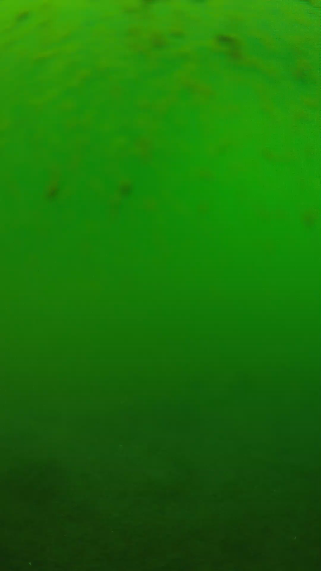 lander_ipcam_20240625123544.png