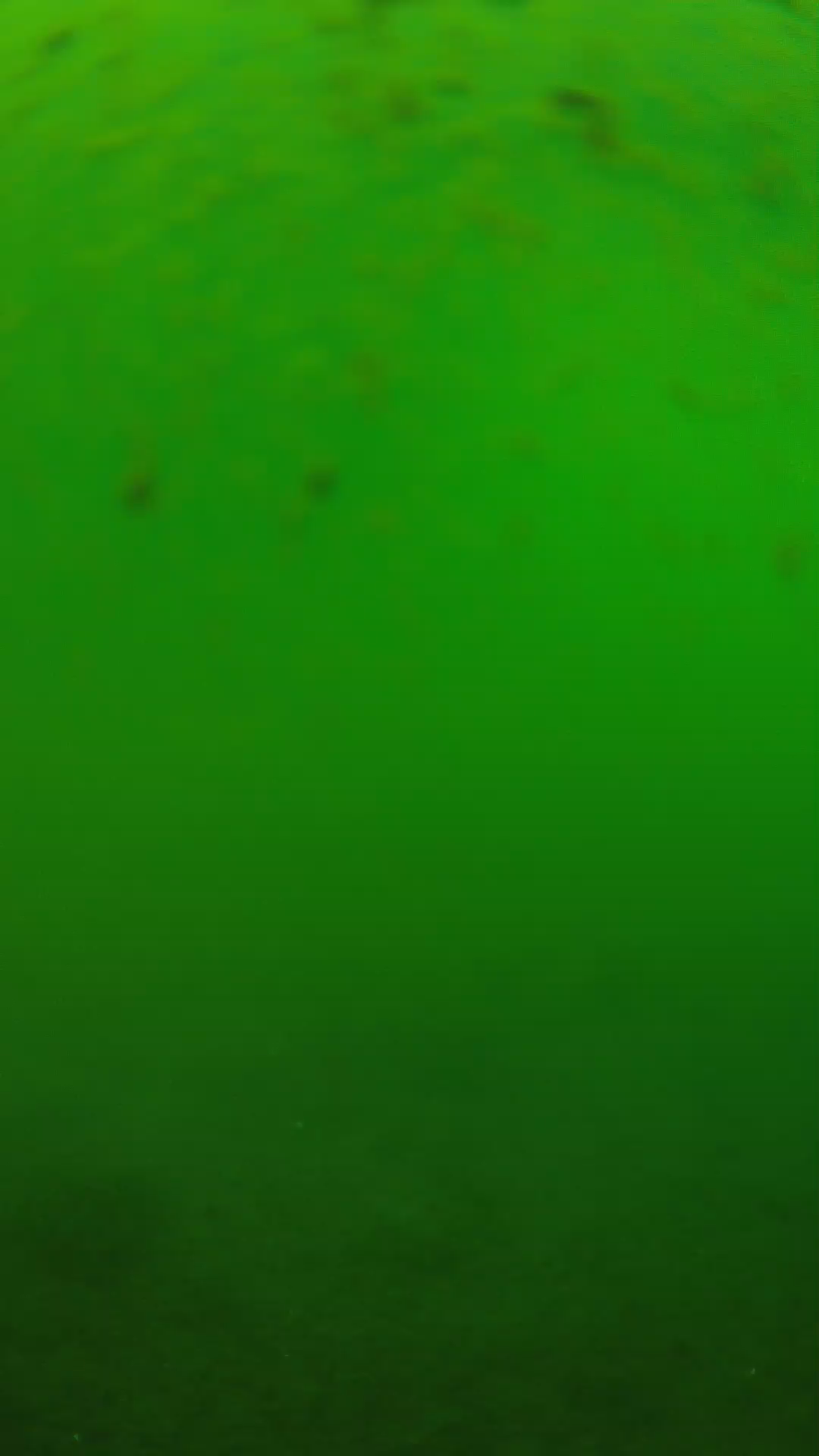lander_ipcam_20240625123546.png