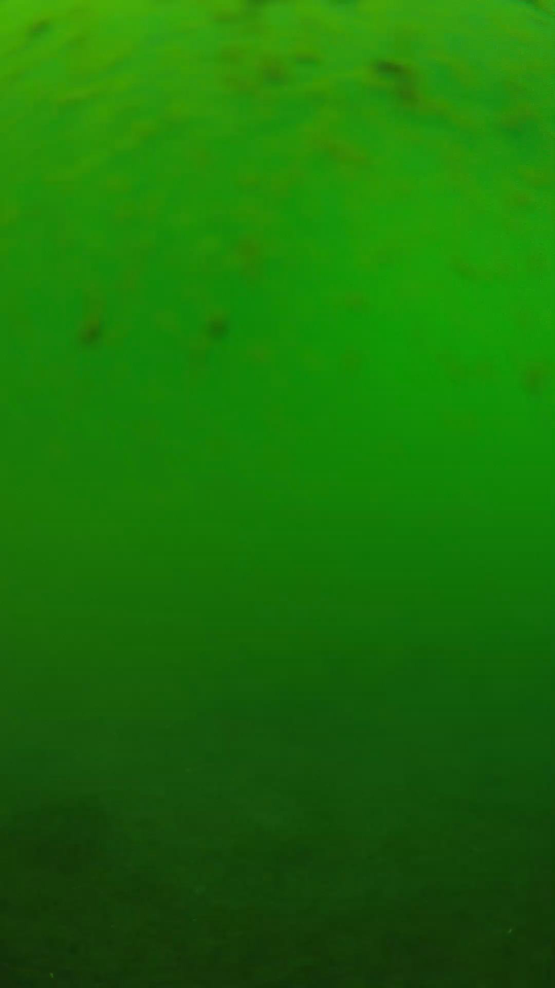 lander_ipcam_20240625123547.png
