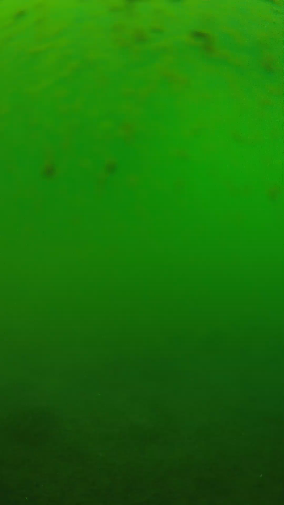 lander_ipcam_20240625123548.png