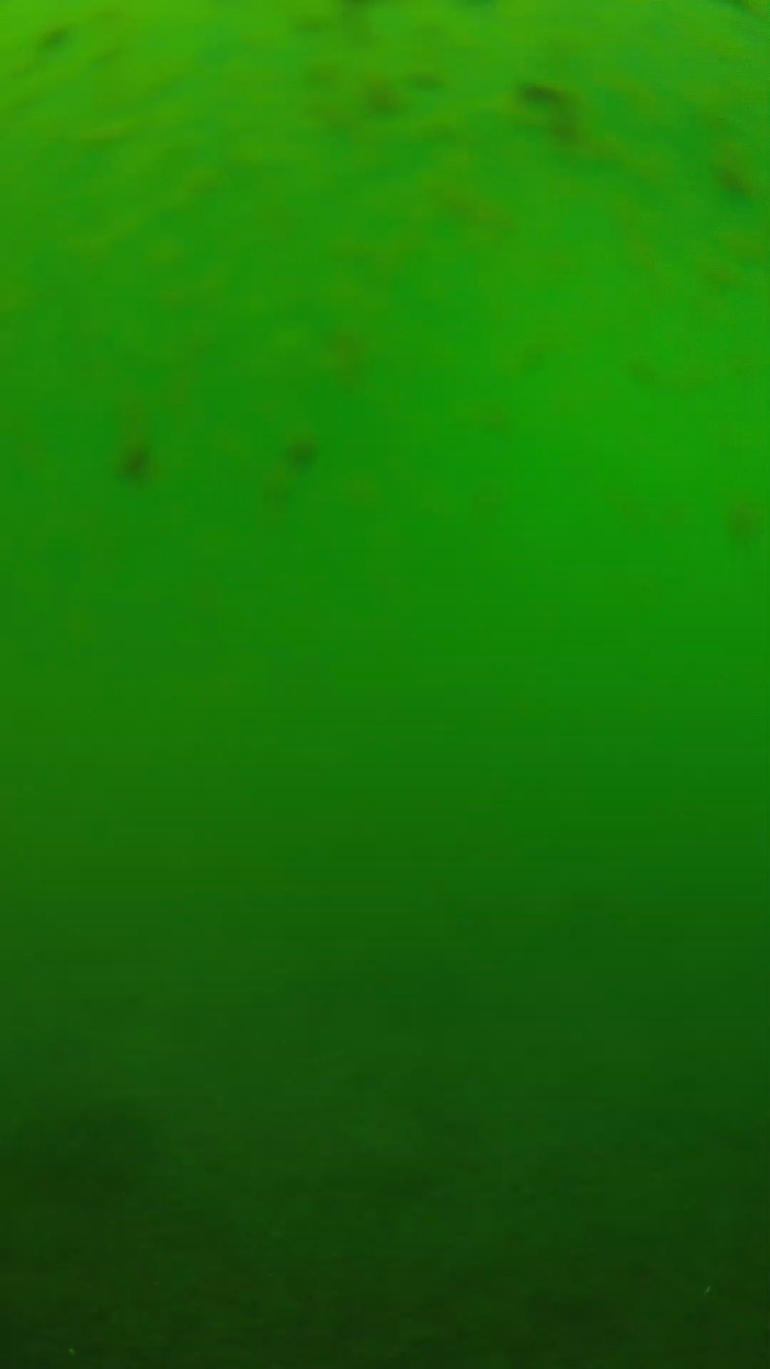 lander_ipcam_20240625123549.png