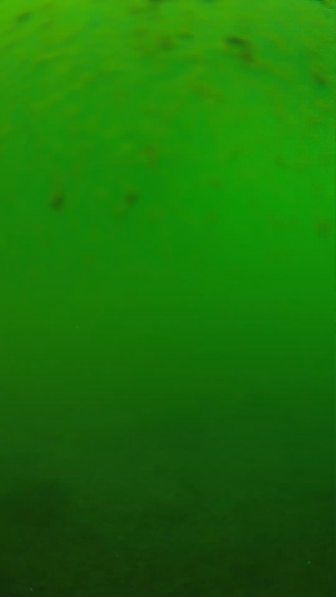 lander_ipcam_20240625123551.png