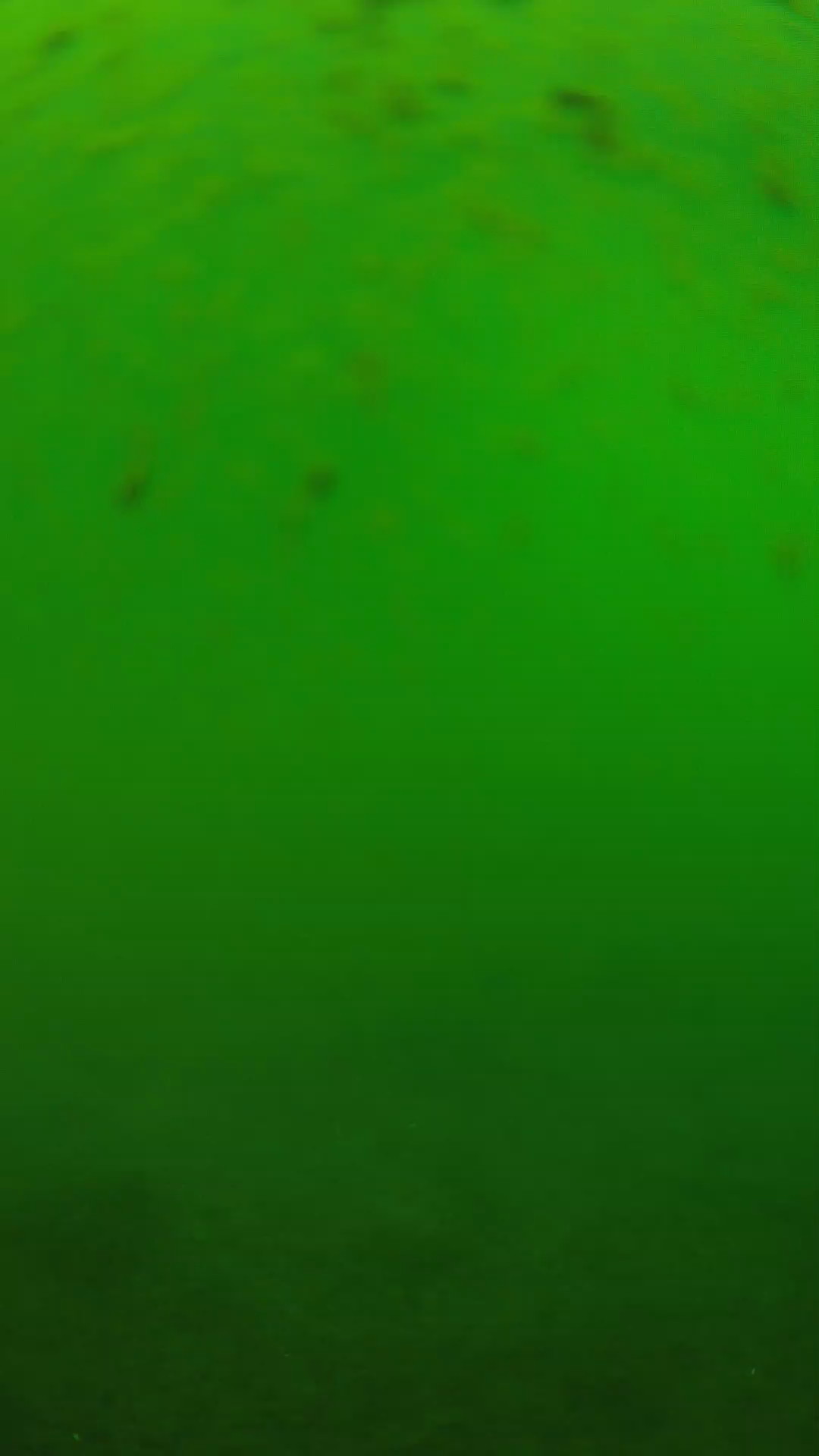 lander_ipcam_20240625123552.png