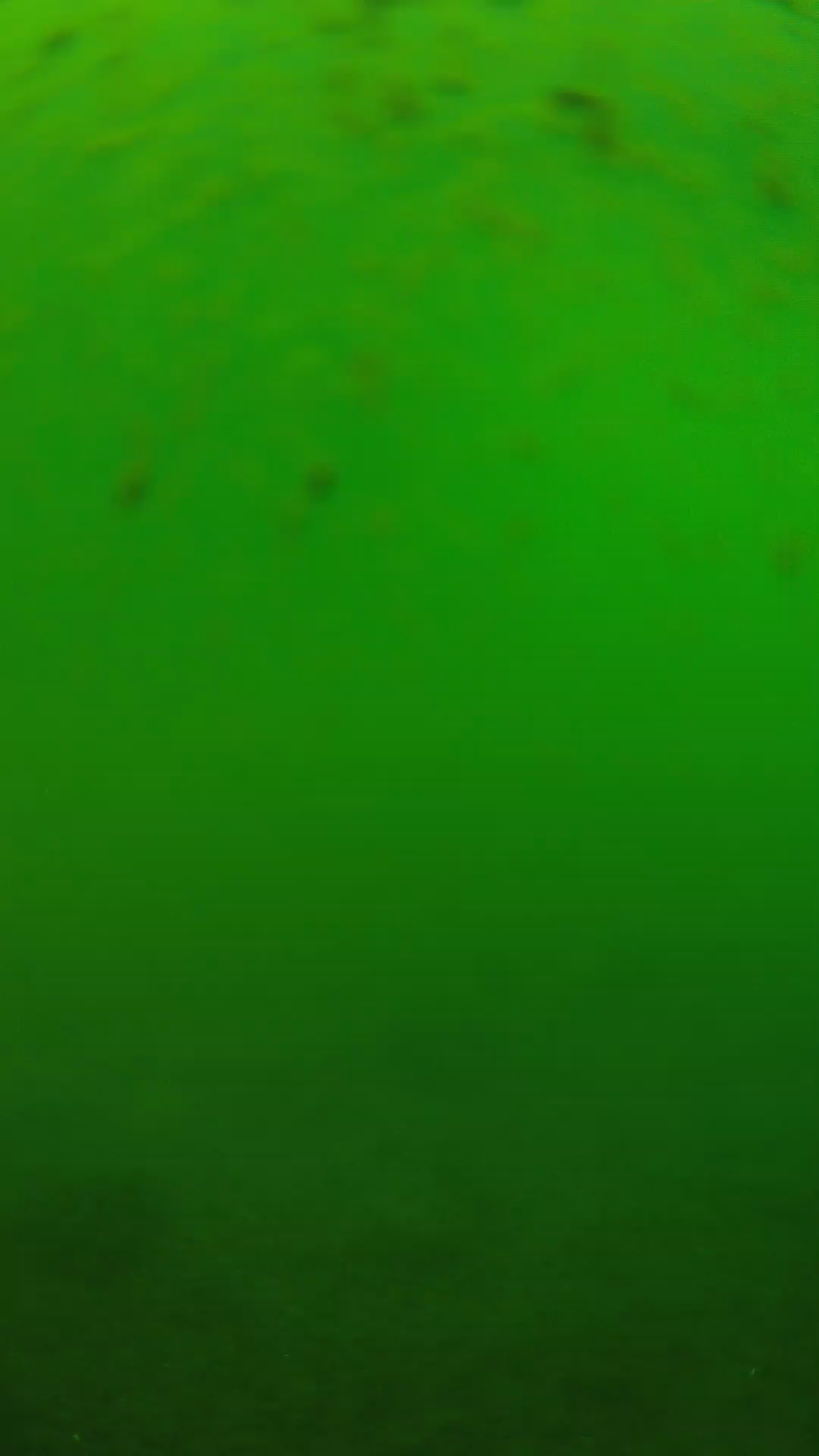 lander_ipcam_20240625123553.png