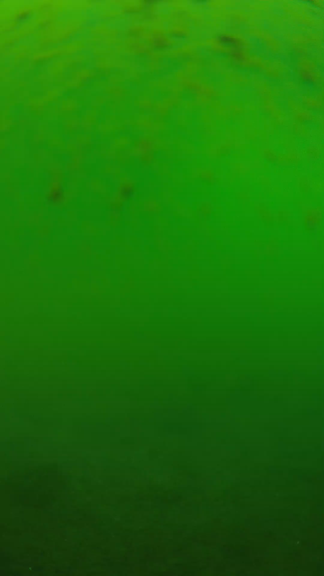 lander_ipcam_20240625123554.png