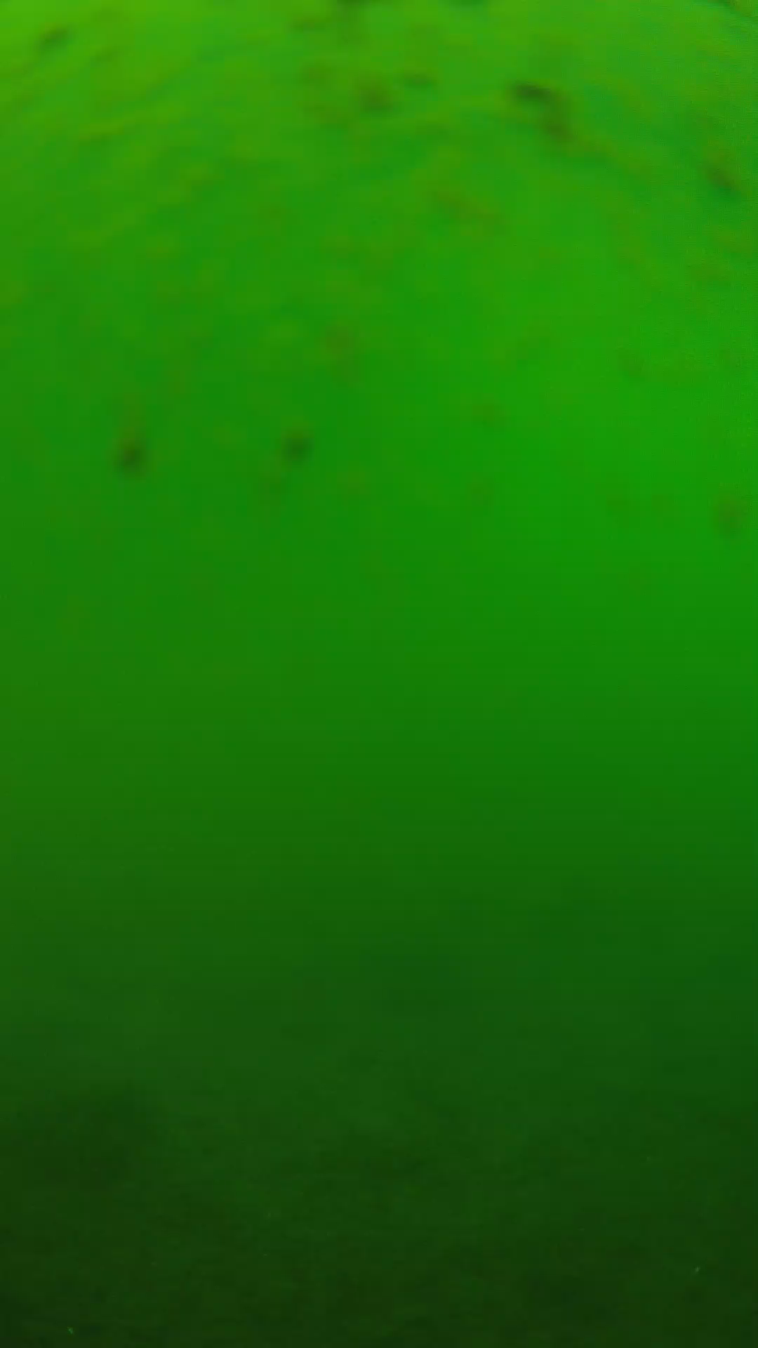 lander_ipcam_20240625123555.png