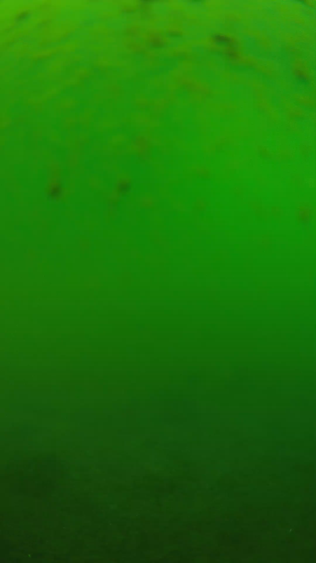 lander_ipcam_20240625123556.png