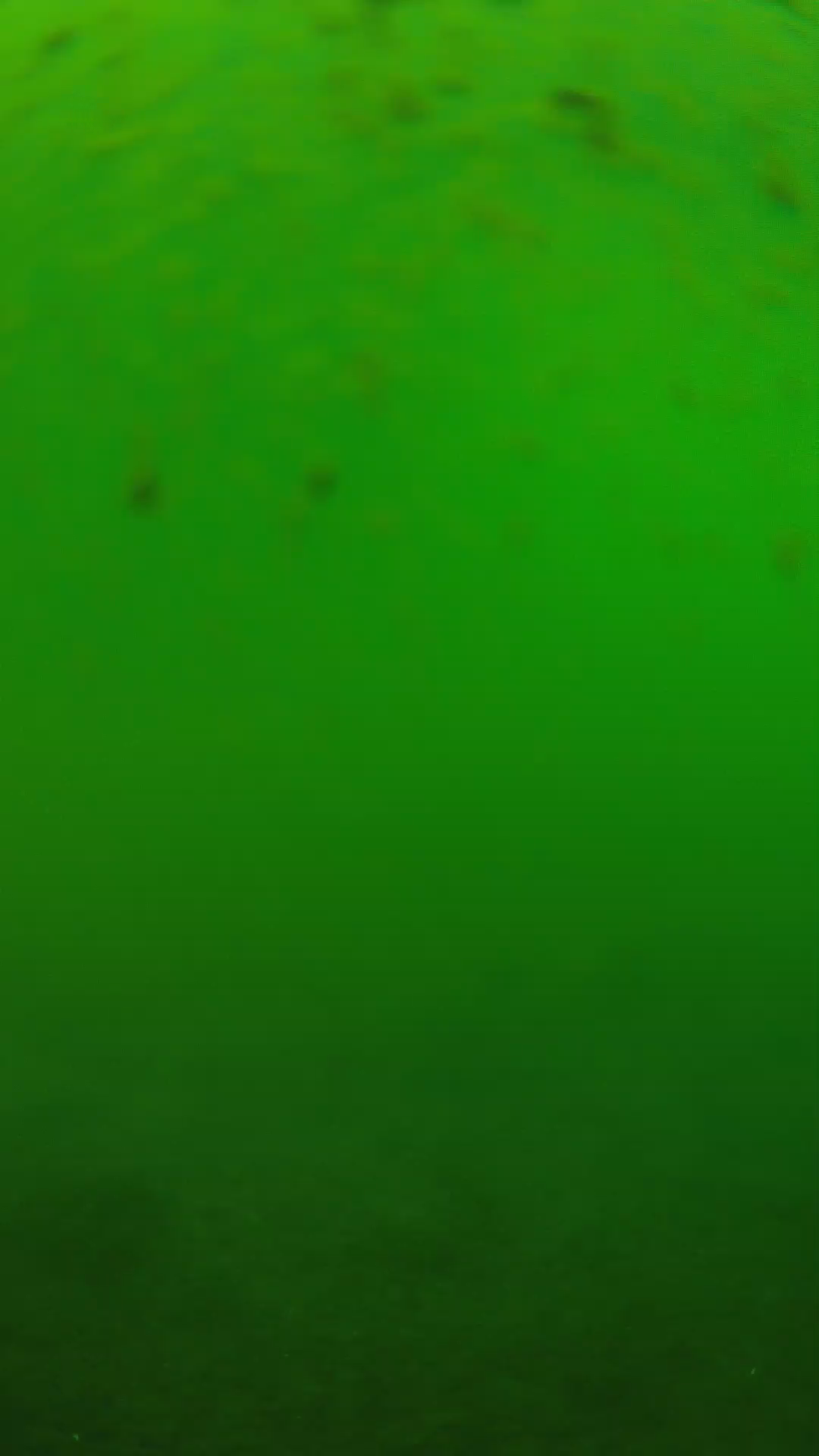 lander_ipcam_20240625123557.png