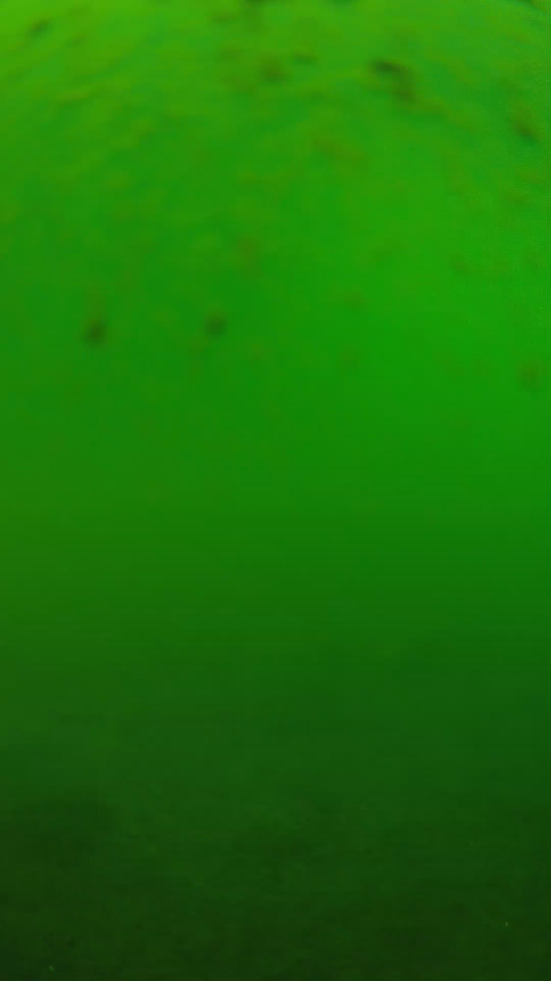 lander_ipcam_20240625123558.png