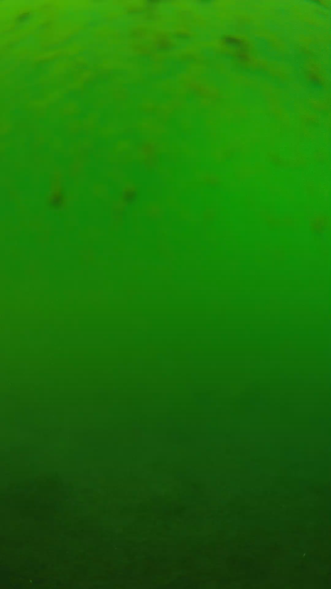 lander_ipcam_20240625123559.png