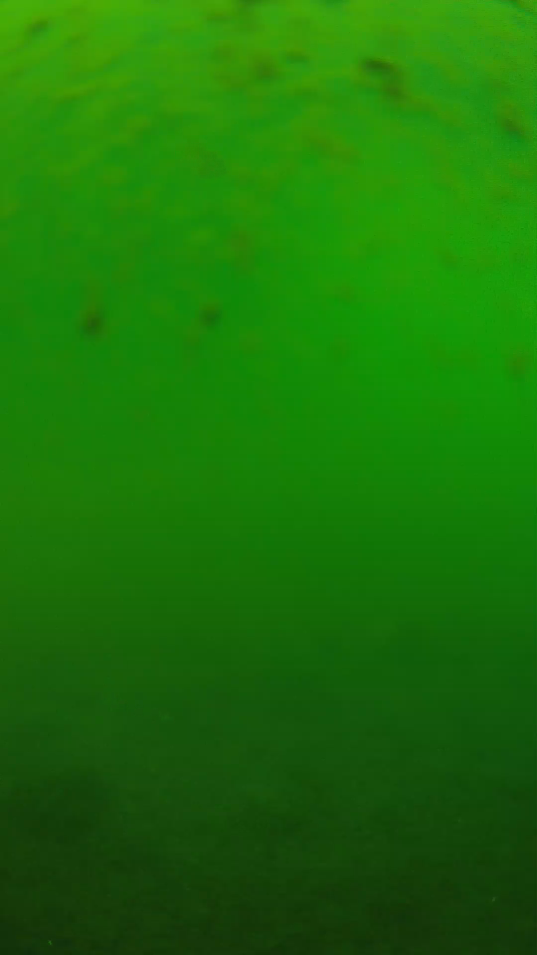 lander_ipcam_20240625123601.png