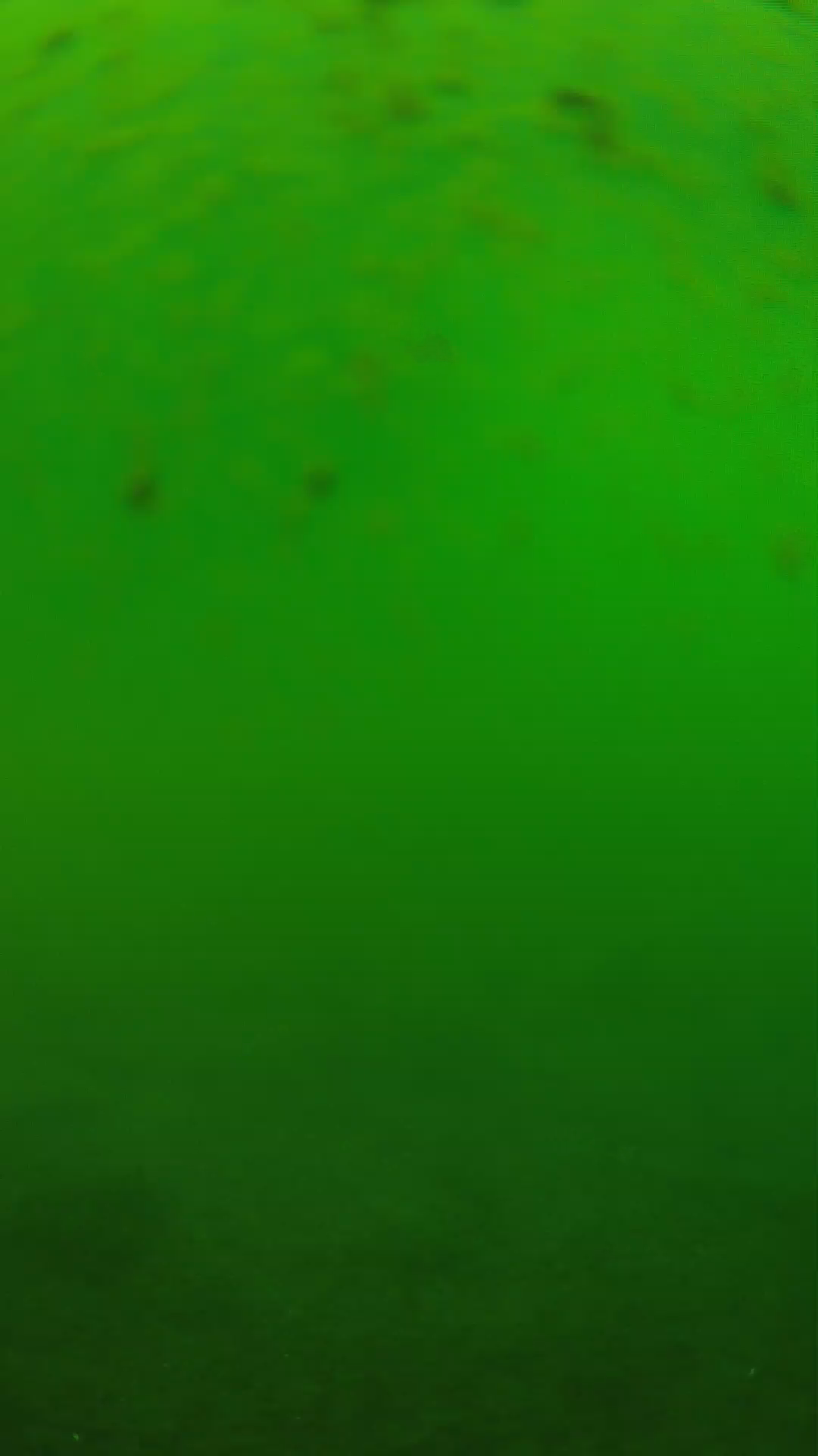 lander_ipcam_20240625123605.png