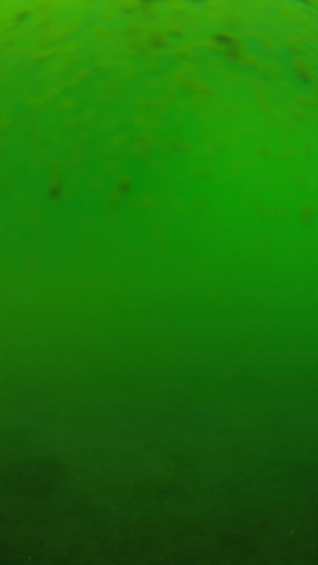 lander_ipcam_20240625123606.png