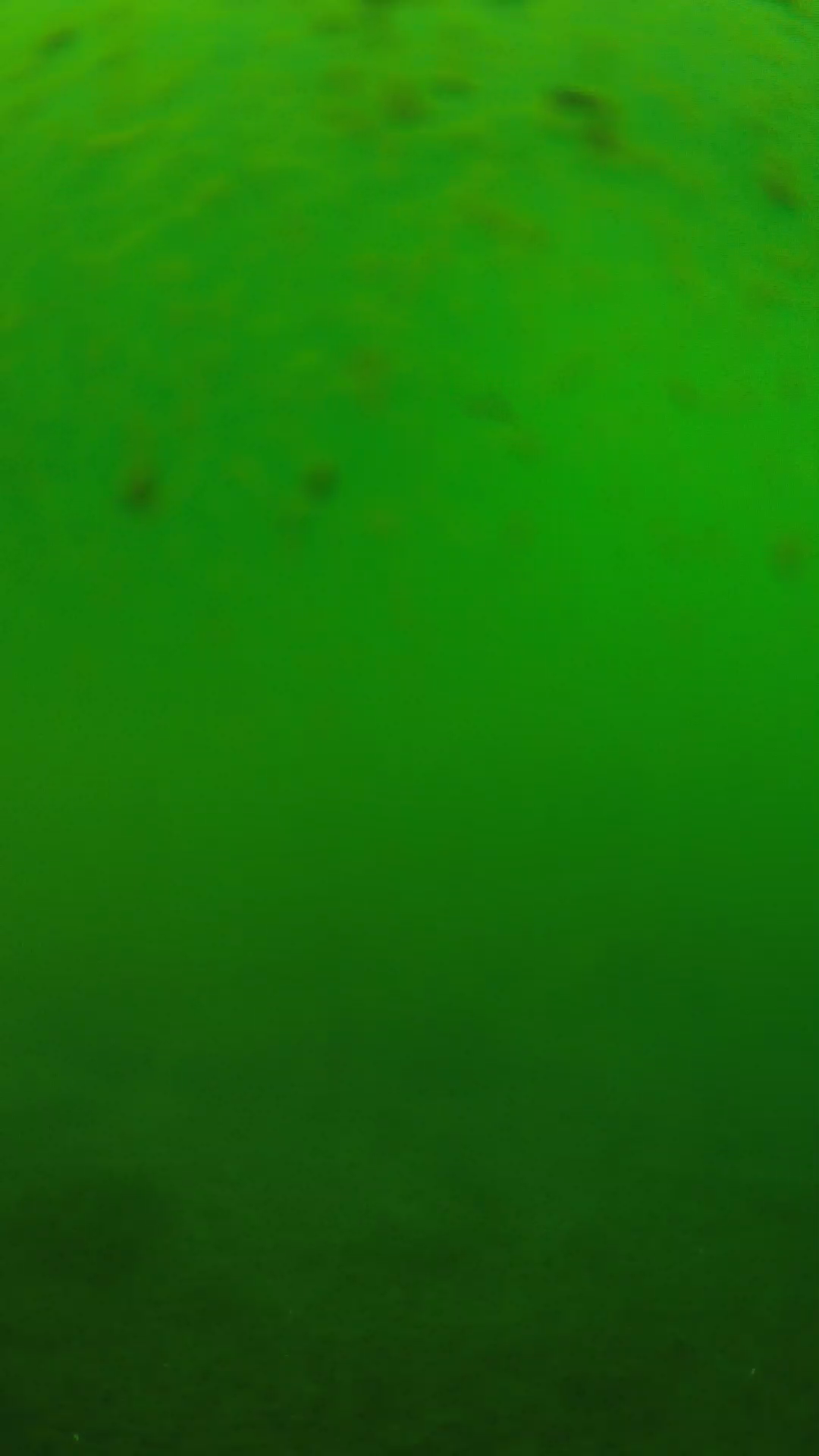 lander_ipcam_20240625123607.png