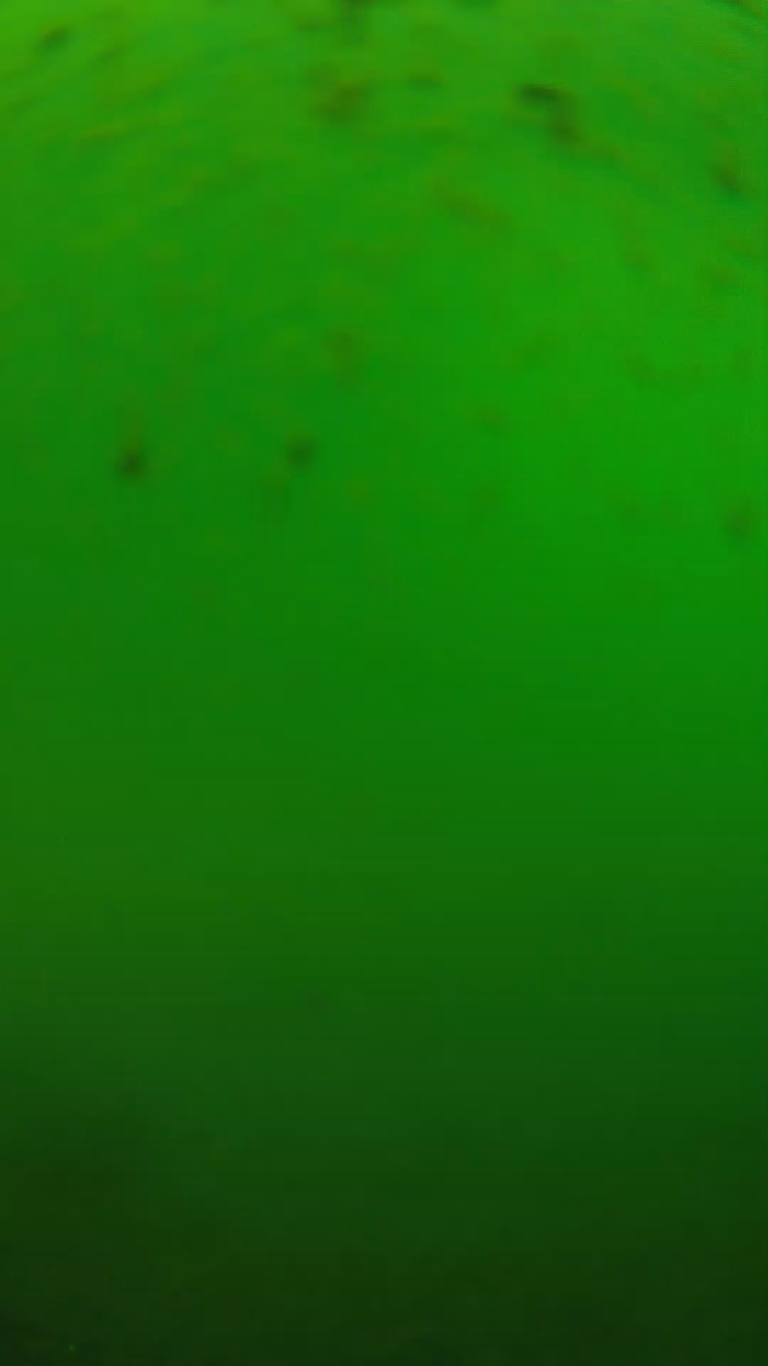 lander_ipcam_20240625130538.png