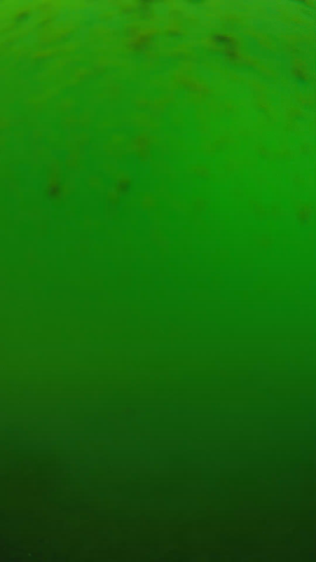 lander_ipcam_20240625130539.png