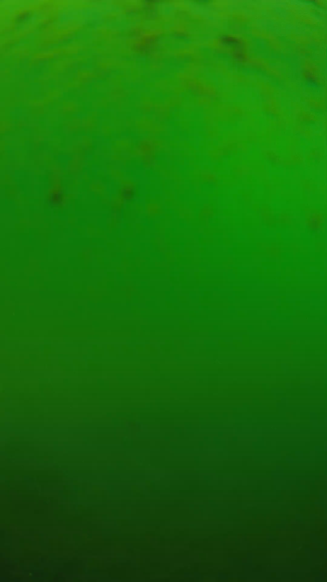 lander_ipcam_20240625130543.png