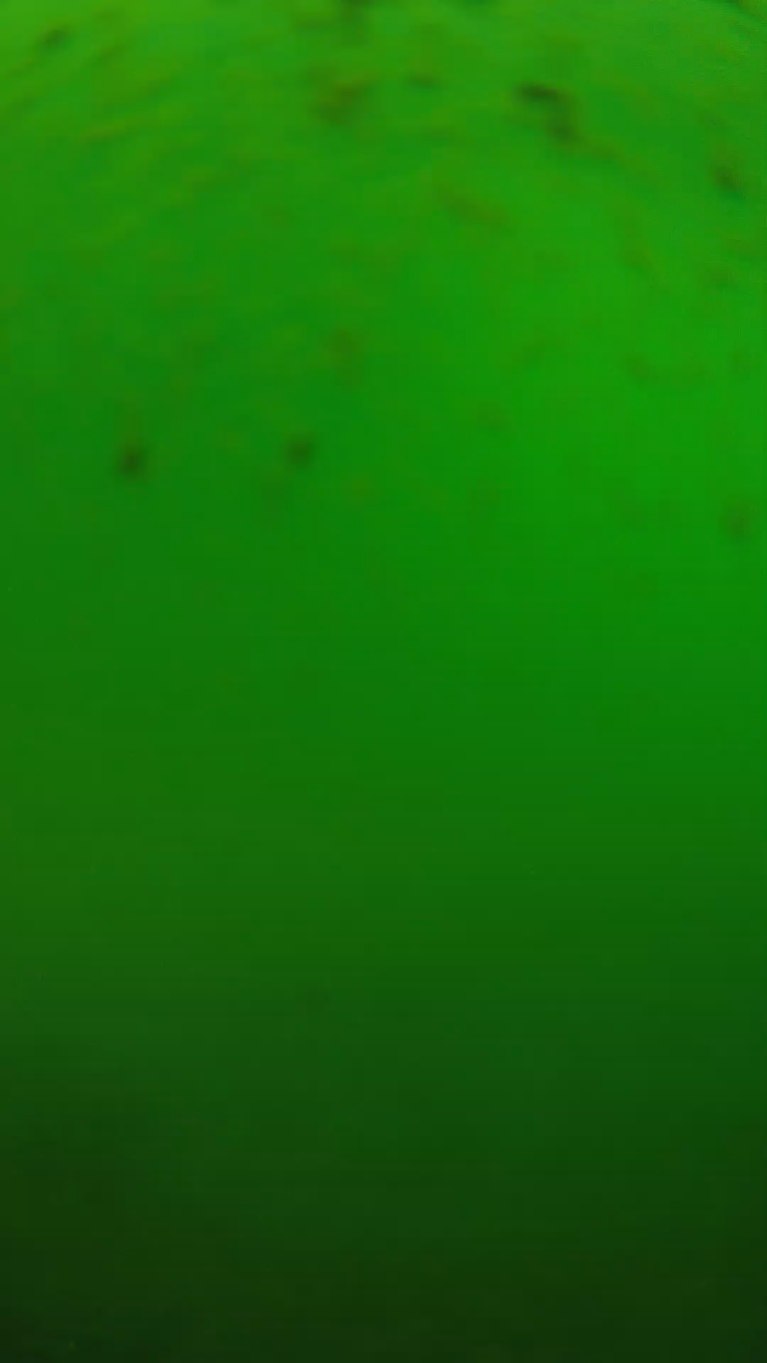 lander_ipcam_20240625130545.png