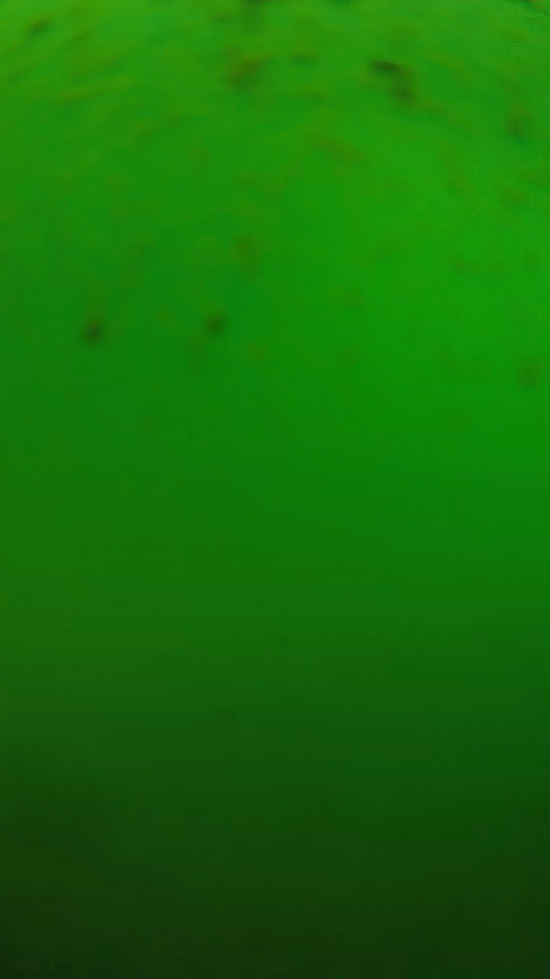 lander_ipcam_20240625130546.png