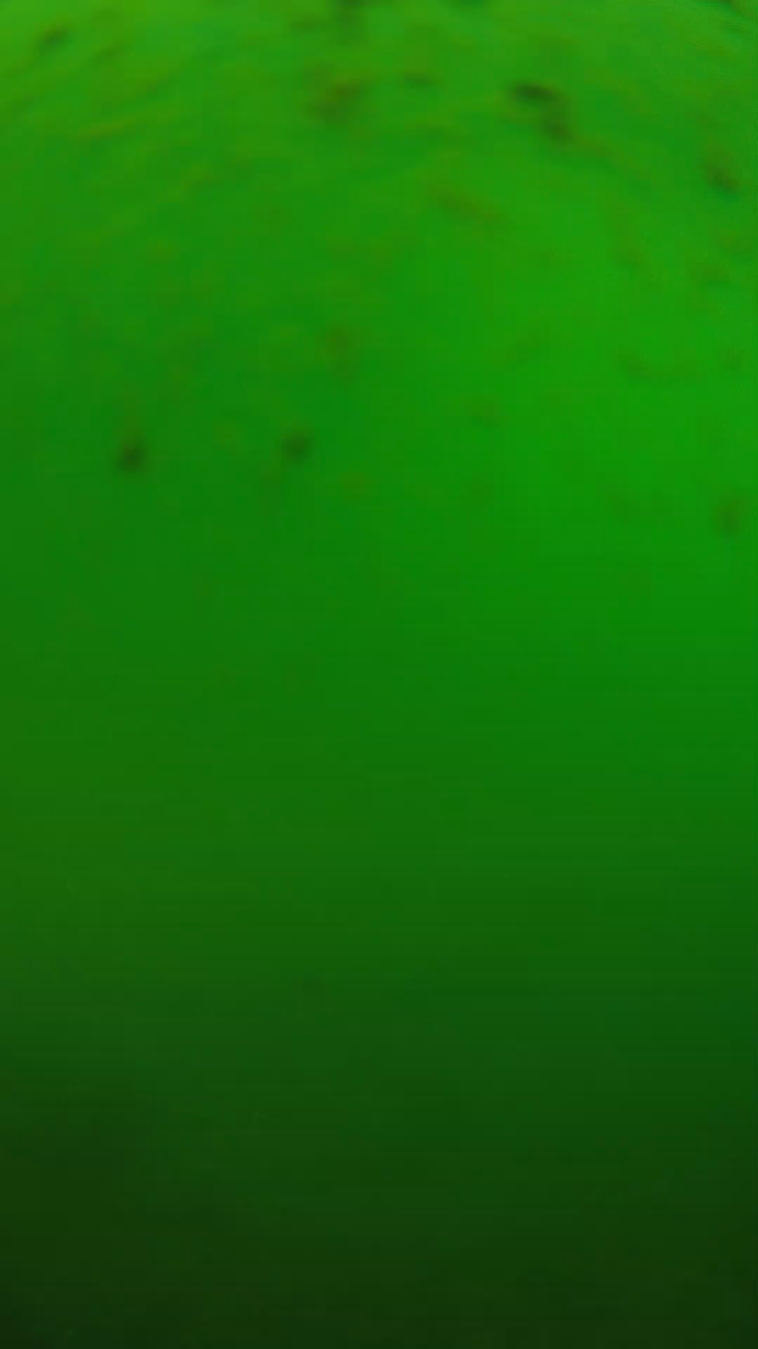 lander_ipcam_20240625130547.png
