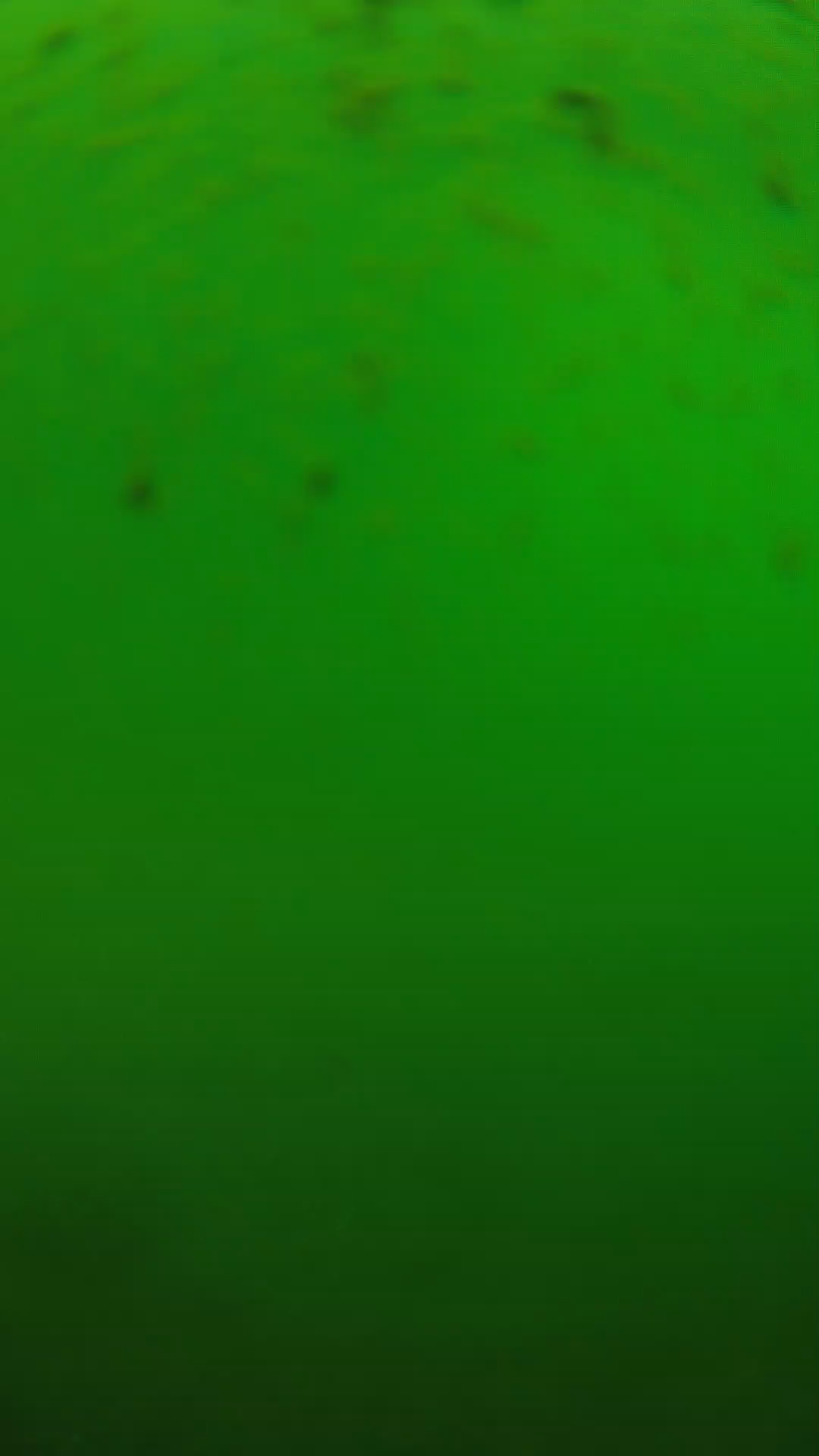 lander_ipcam_20240625130549.png