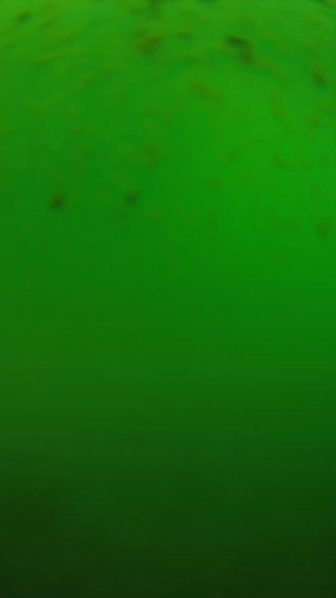 lander_ipcam_20240625130550.png