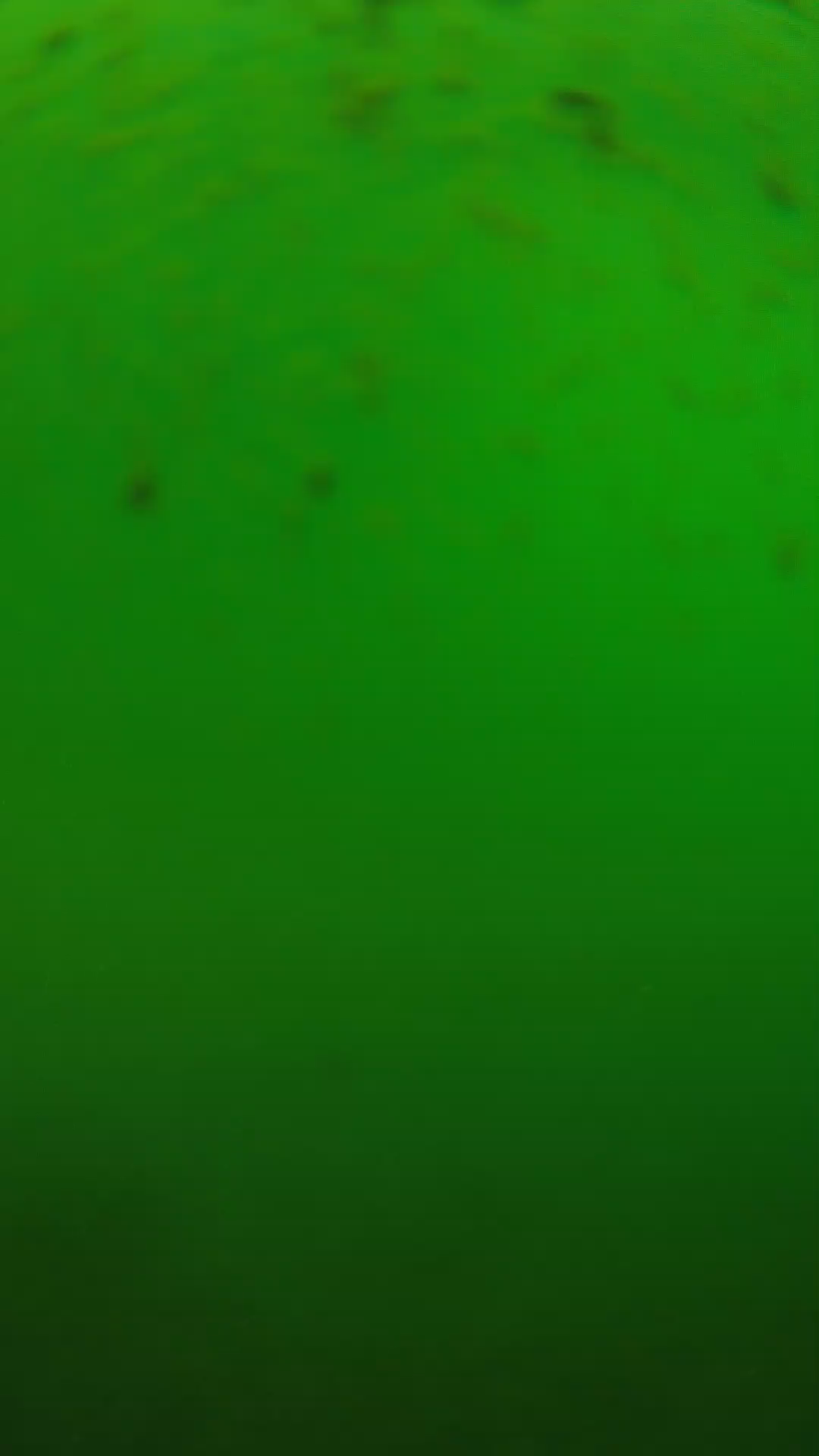 lander_ipcam_20240625130553.png