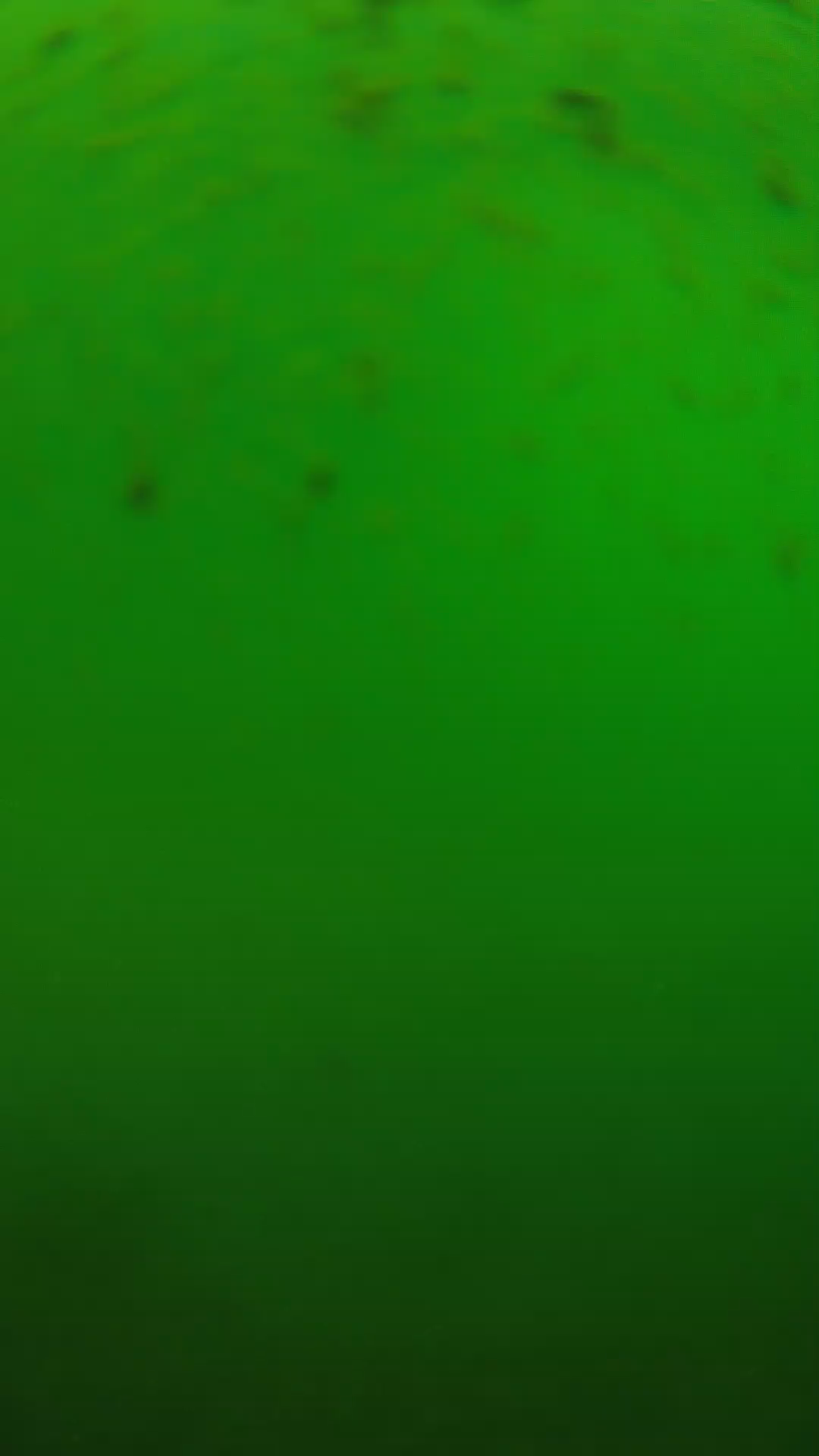 lander_ipcam_20240625130554.png