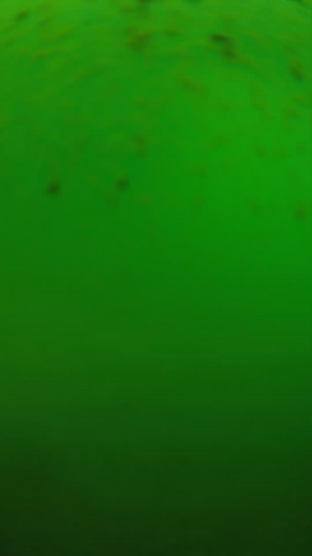 lander_ipcam_20240625130555.png