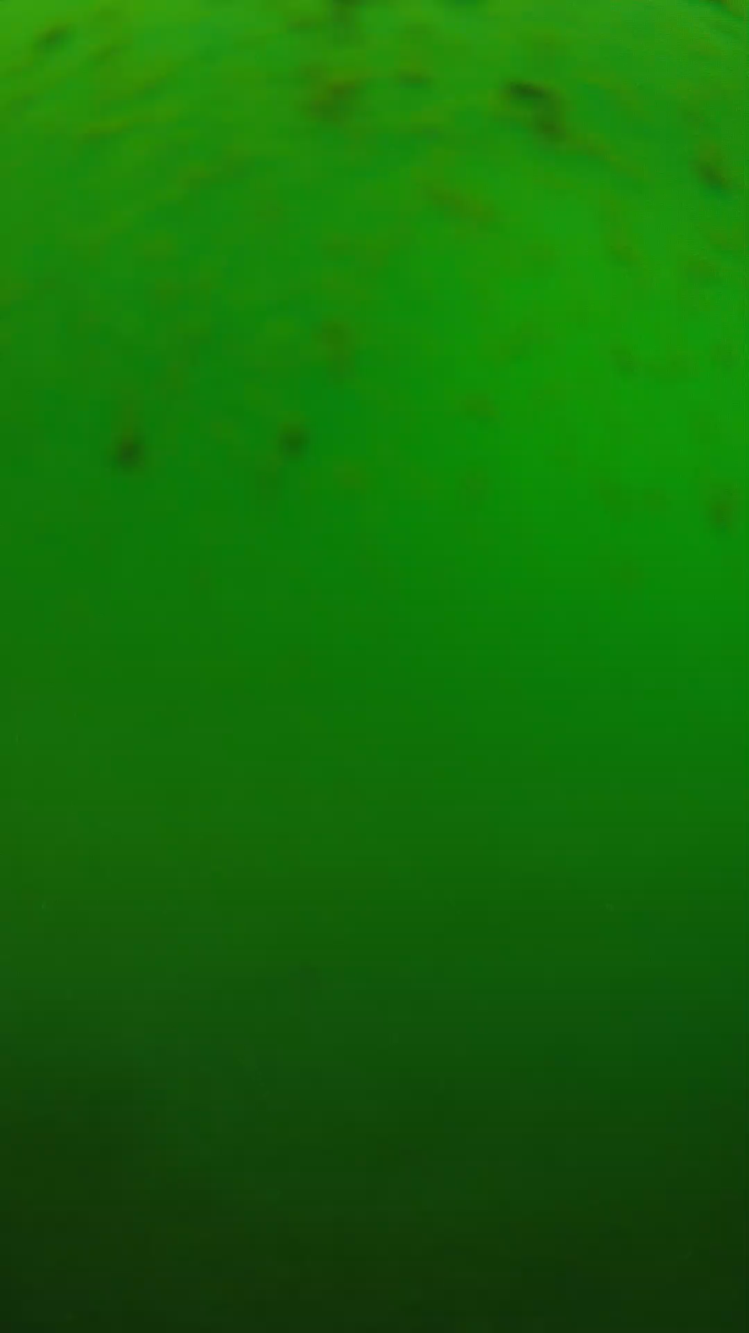 lander_ipcam_20240625130556.png
