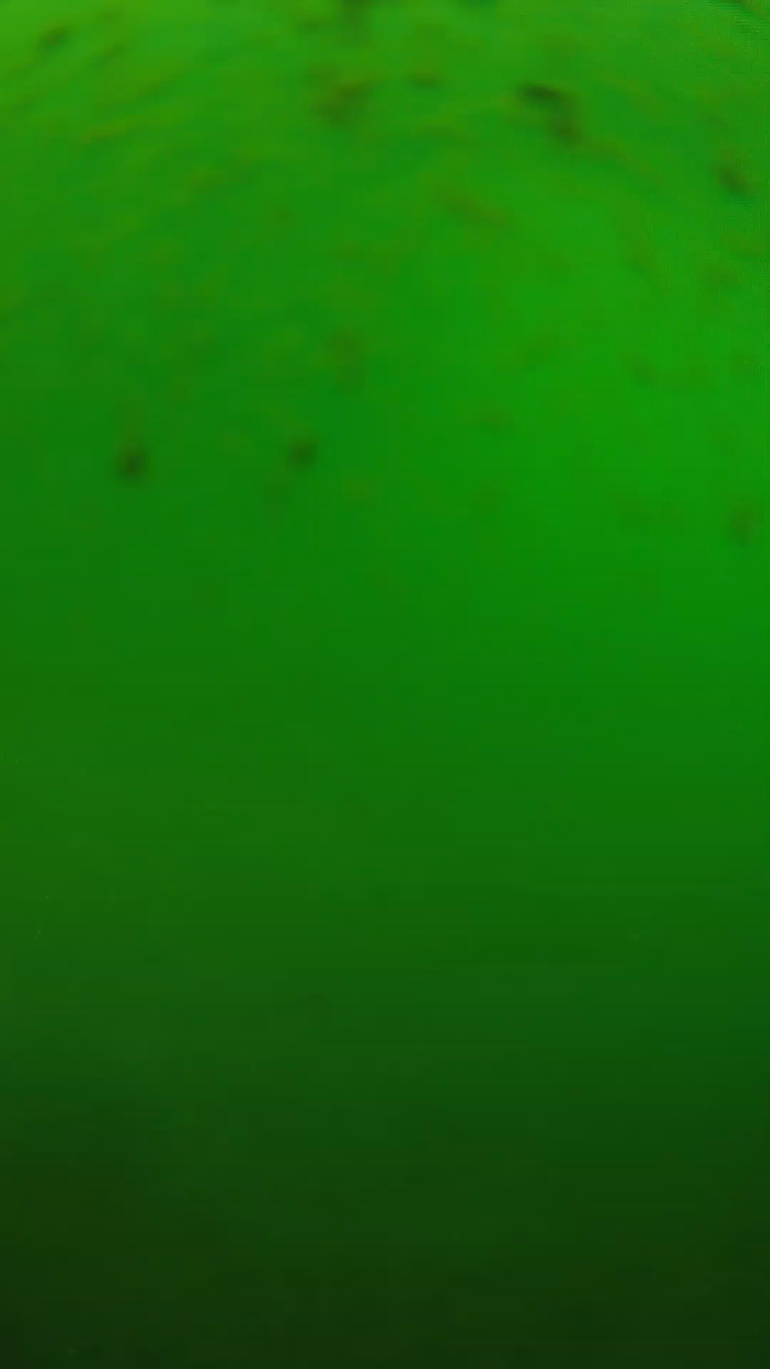 lander_ipcam_20240625130557.png