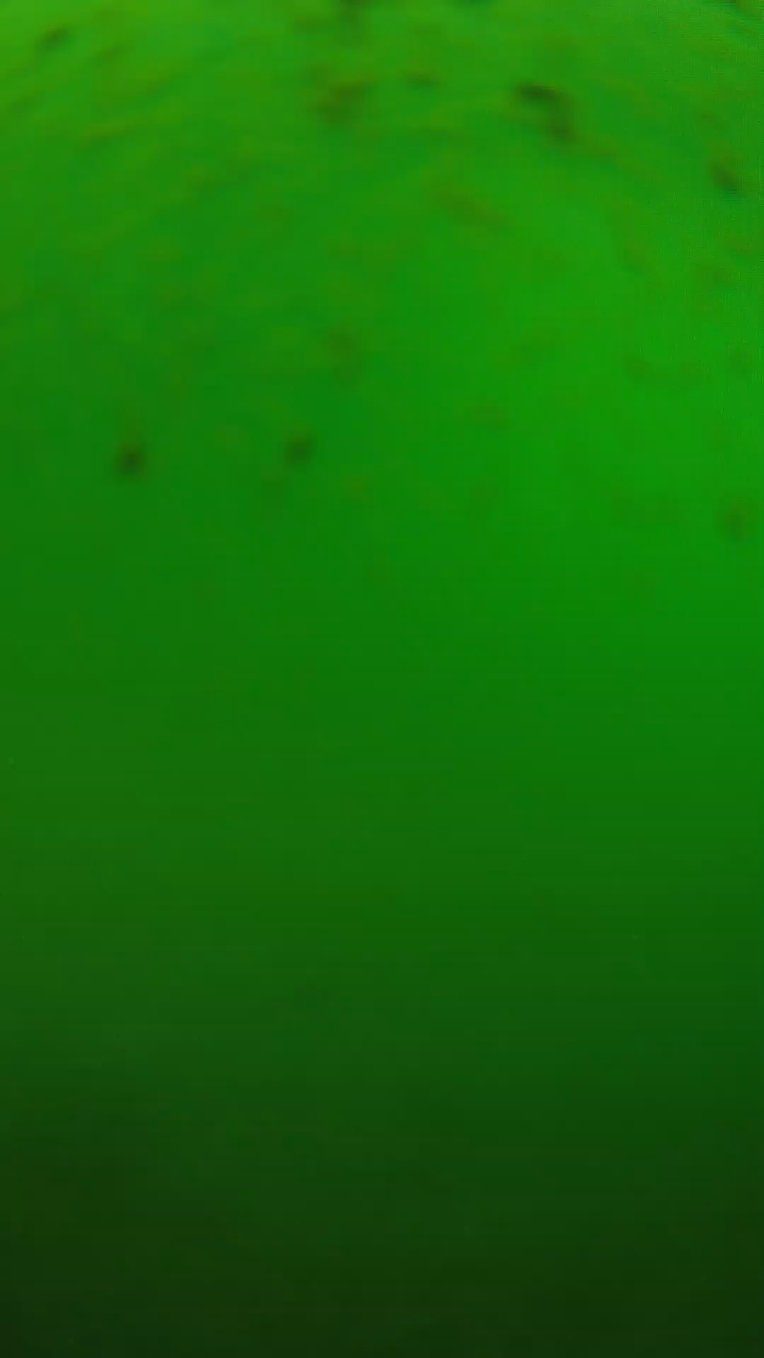 lander_ipcam_20240625130558.png