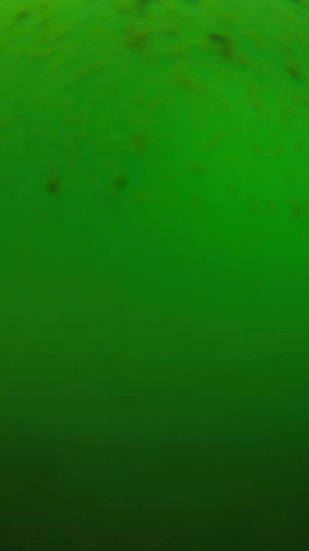 lander_ipcam_20240625130559.png