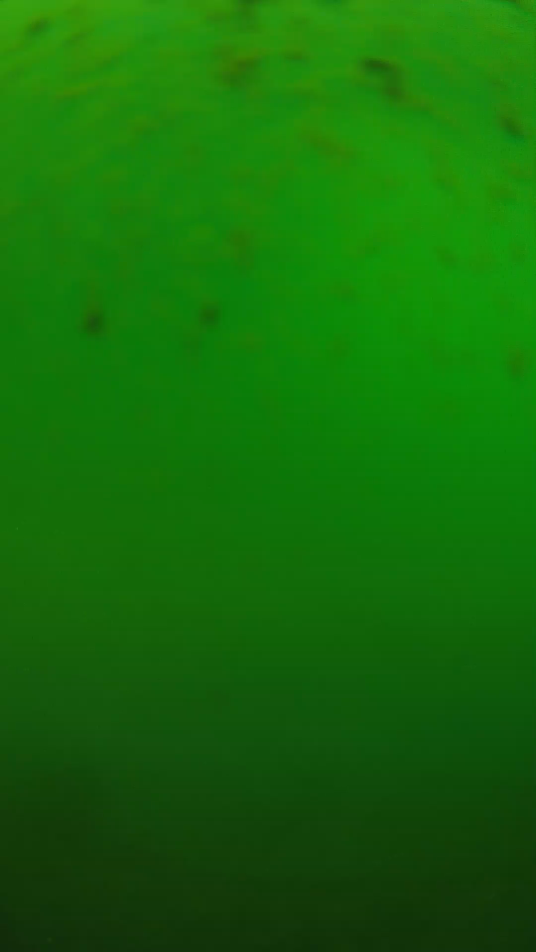 lander_ipcam_20240625130601.png